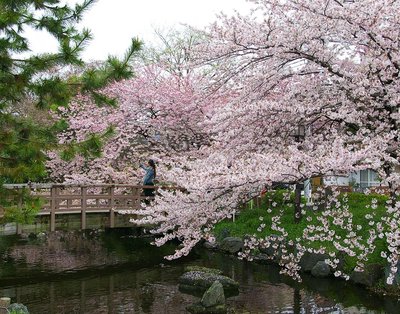 🌳 히가시아야세 공원(東綾瀬公園)